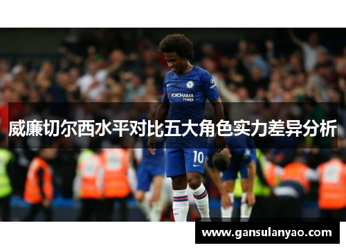 威廉切尔西水平对比五大角色实力差异分析
