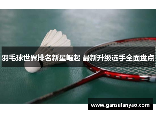 羽毛球世界排名新星崛起 最新升级选手全面盘点