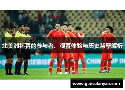 北美洲杯赛的参与者、观赛体验与历史背景解析