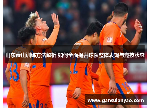 山东泰山训练方法解析 如何全面提升球队整体表现与竞技状态